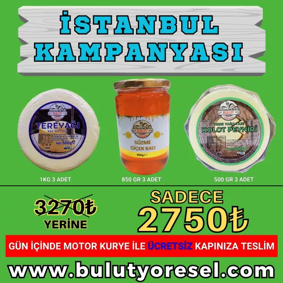 İstanbul Kampanyası